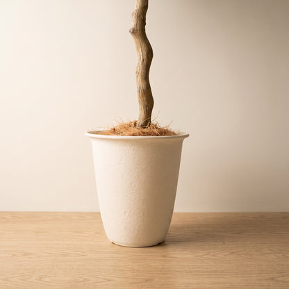 オリーブ（130cm・鉢付き・フェイクグリーン）