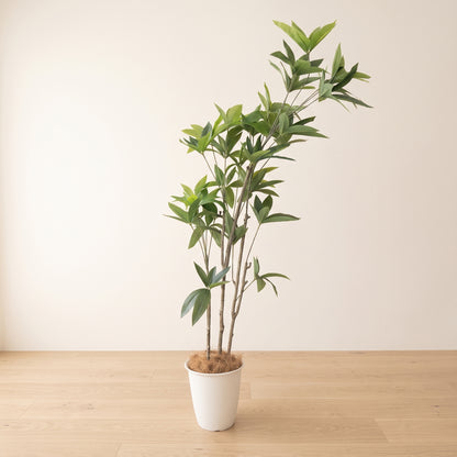 パキラ（150cm・鉢付き・フェイクグリーン）